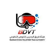 BDVT logo